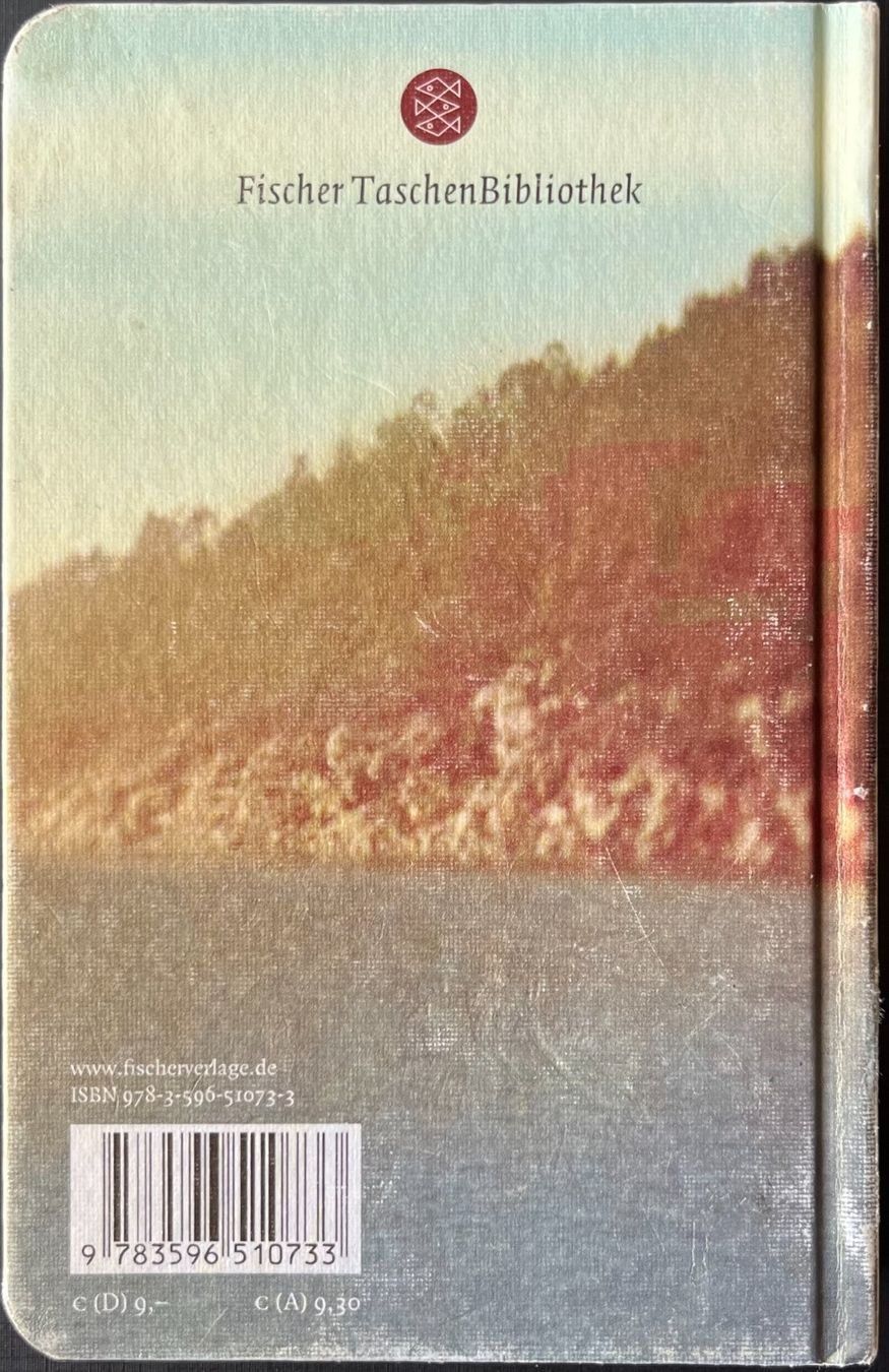 Libri: Per Petterson - Pferde stehlen – Usato da Wettingen venduto da Licht08 1