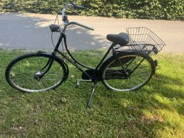 Gazelle Hollandvelo zu verschenken