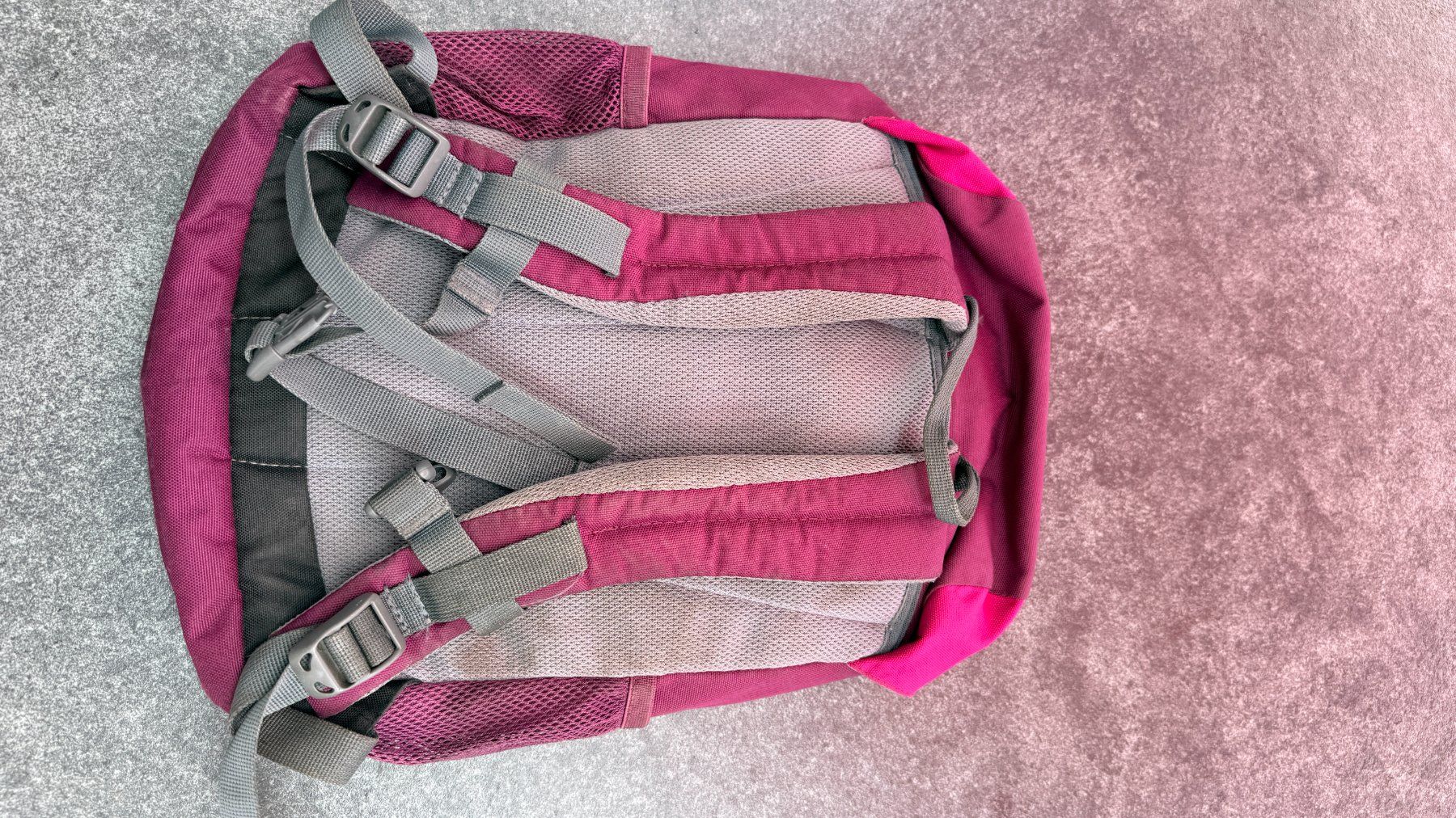 Borse & Zaini: Kinderrucksack Deuter "Waldfuchs" für Mädchen – Usato da Mönchaltorf venduto da Holomerlin 1