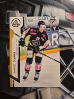 Samuel Guerra HC Lugano Sportzoo 2024/25