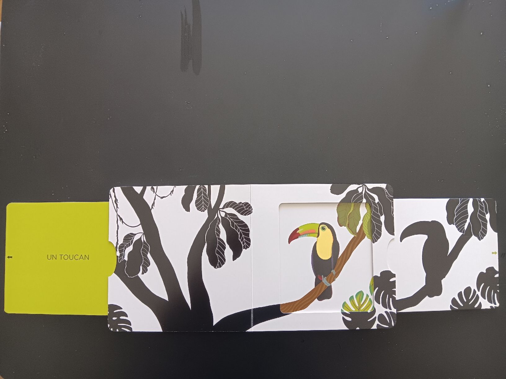 Bücher: livre noir et blanc pour bébé – Gebraucht aus Lausanne von Grabock 4