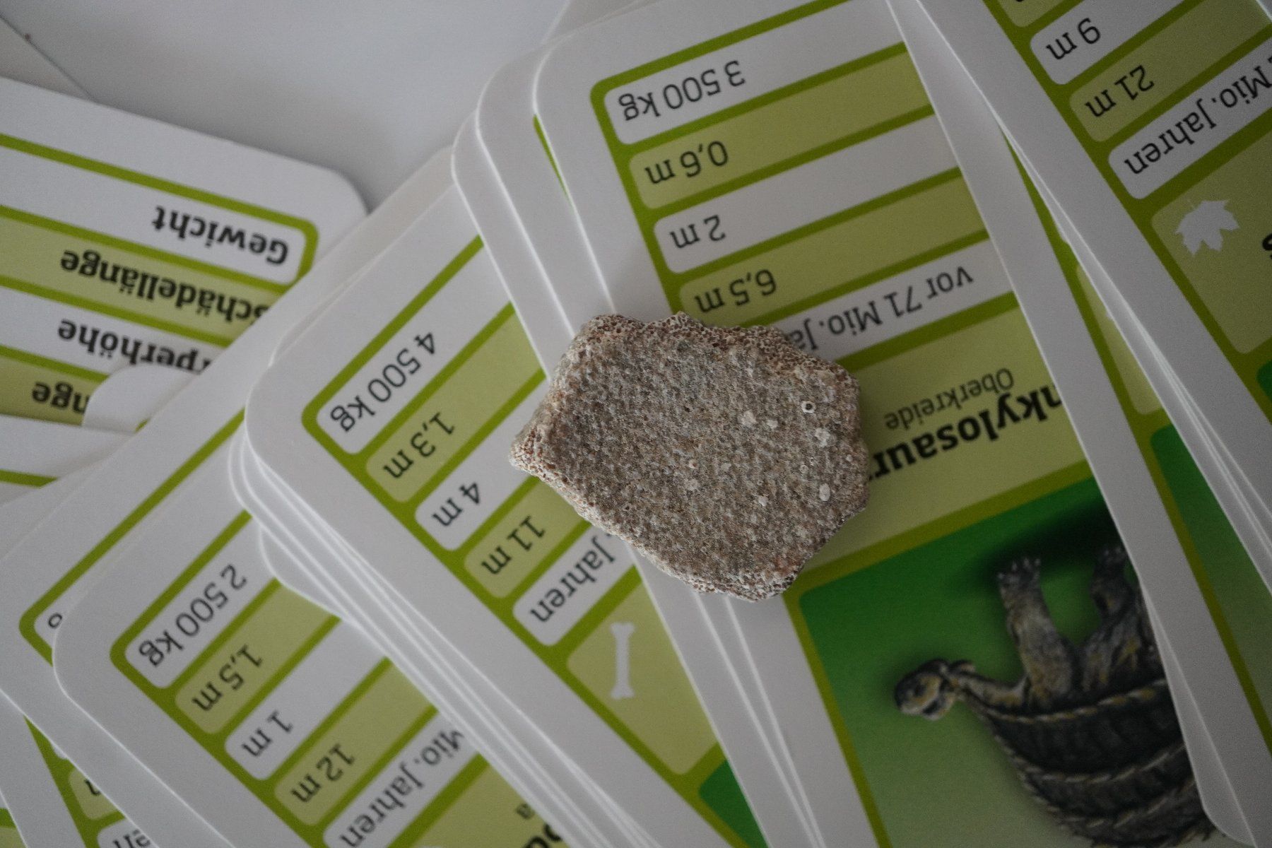 Fossilien: Titanosaurus Eierschale  73mio  Mit  Quartett   "Dinofan" – Neu und originalverpackt aus Eschenbach SG von craniums 4