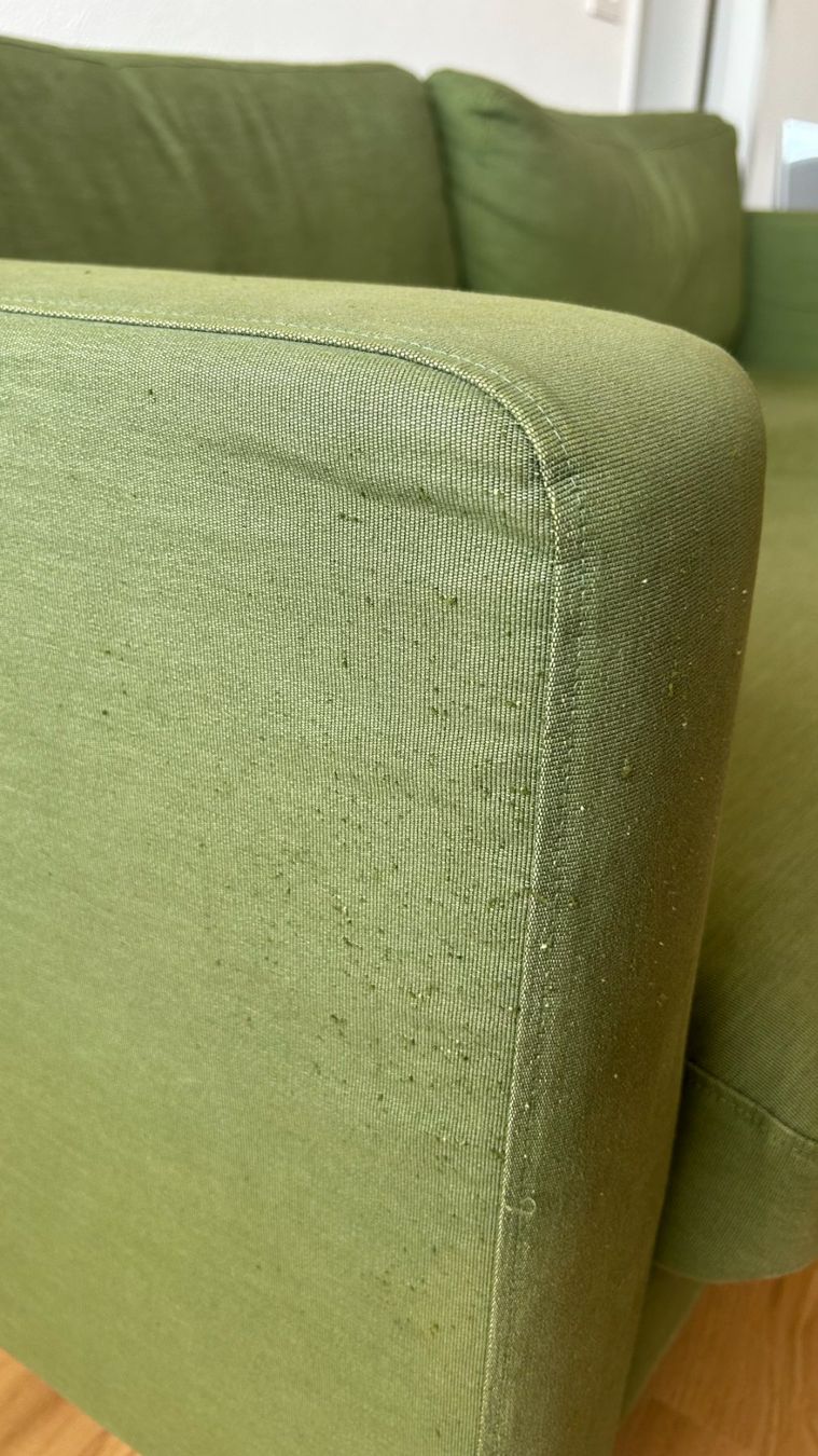 Divani: Sofa mit Hocker in Grün – Usato da Bern venduto da Choco 2