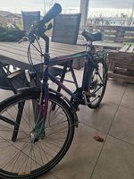 Velo Allegro Bike Multicolor - old school