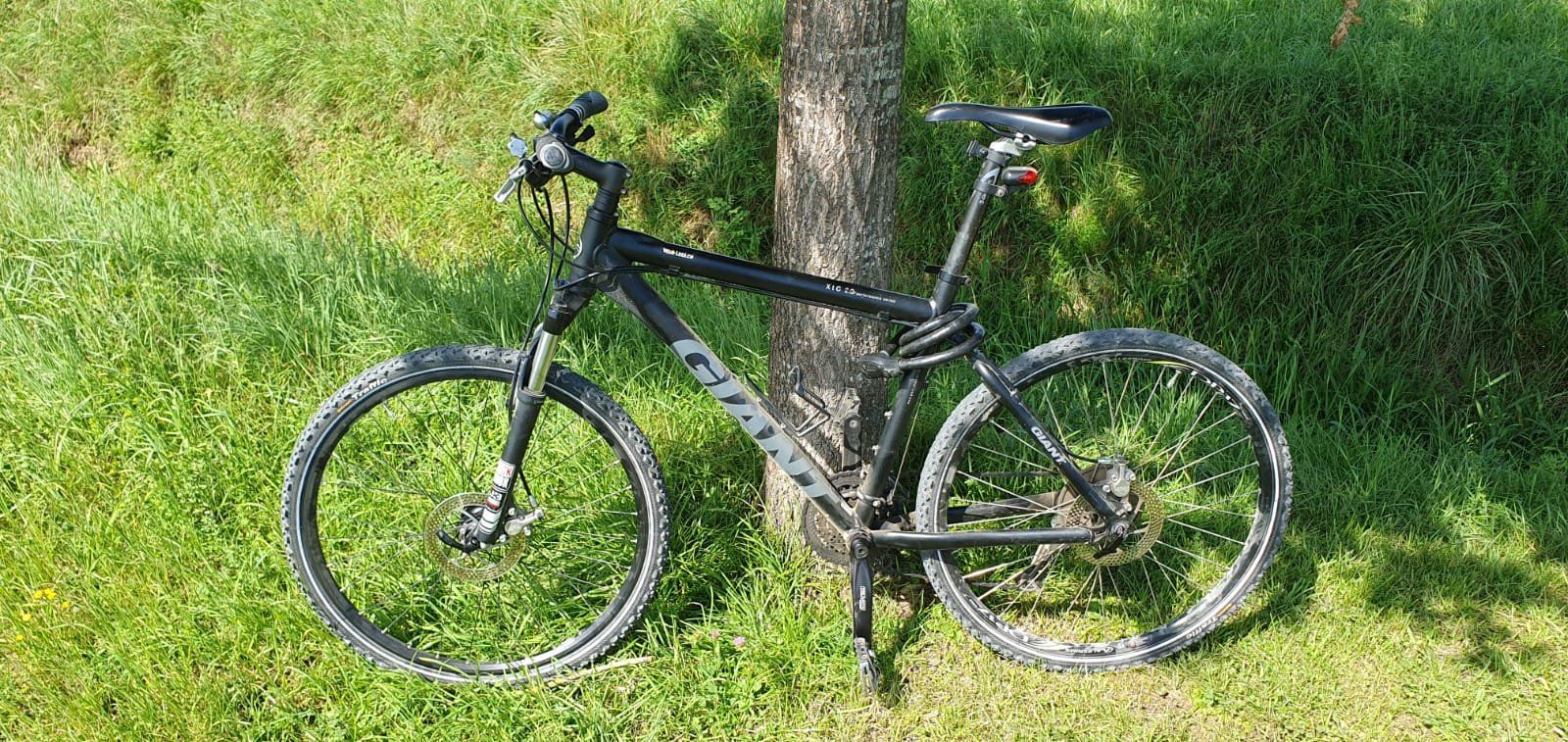 Giant Biciclette: Giant XTC 2.0 anthrazit 19'' Mountainbike – Usato da Märstetten venduto da activemember 5