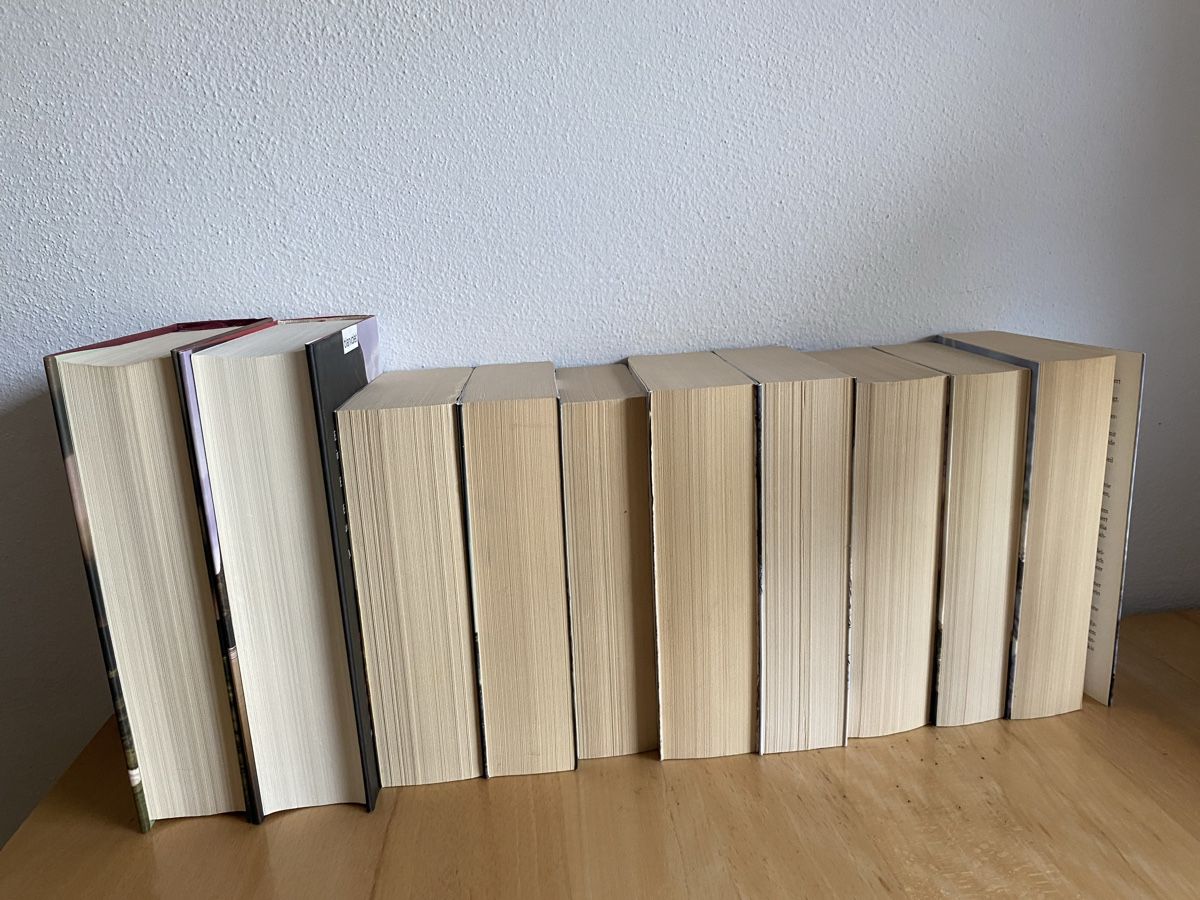 Libri: 10 Bücher/Romane von Charlotte Link – Usato da Schwarzenburg venduto da Michellu 2
