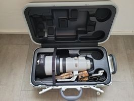 Canon EF 200- 400mm f4 mit 1.4 Converter