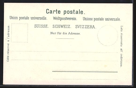 Cartoline postali: Spiez, Ortsansicht mit Schloss, Thunerse – Usato da Berlin venduto da bartko-reher 1