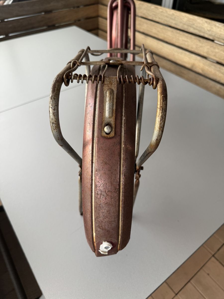 Kickboard: Antikes Trottinette, Champion – Usato da Münsingen venduto da ambuehl81 1