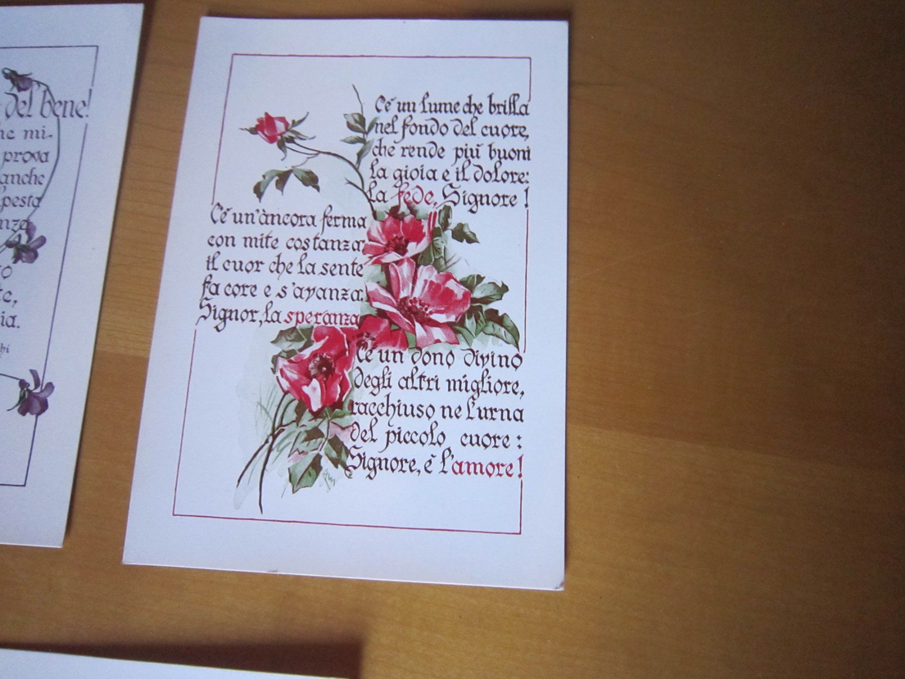 Cartes postales: No 10 Postkarten piccole cose preziose BLUMEN – D'occasion à Gordola par Polentaefung 3
