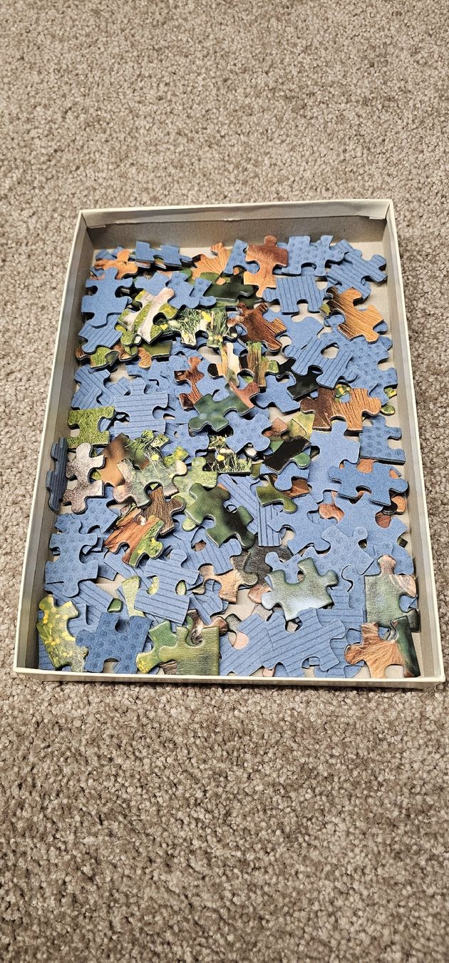 Ravensburger Puzzle: Puzzle 3stk. à 49 Teile – Usato da Biberstein venduto da Sammler74 1