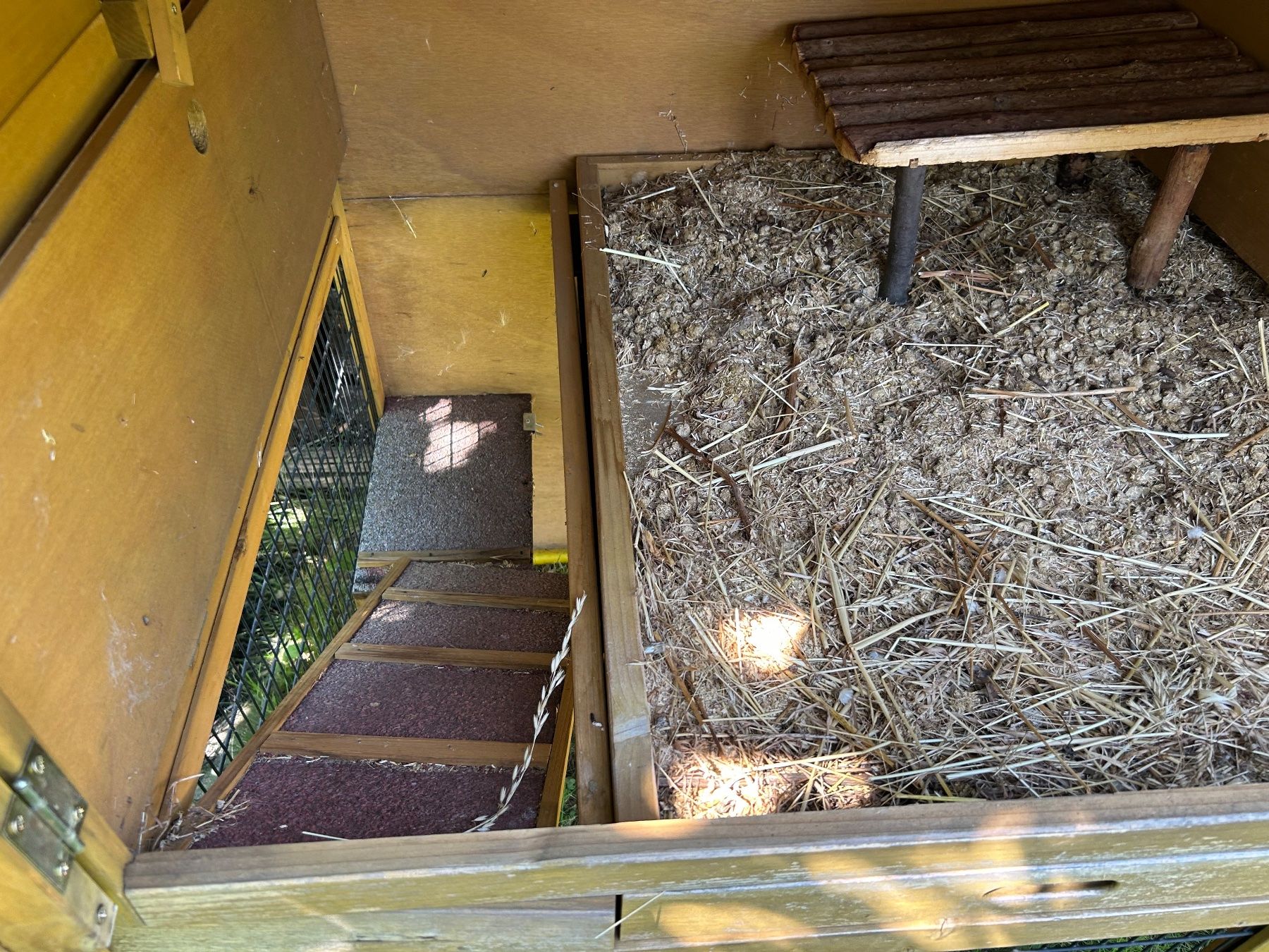 Gabbie, trasporto & Sicurezza: Cabane d'extérieur pour rongeur – Usato da Grimisuat venduto da Fsfred 4