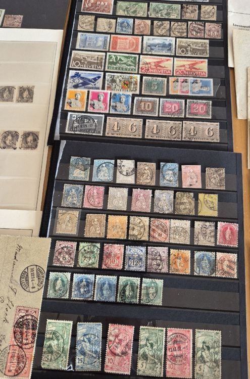 Riesige Schweizer Briefmarken Sammlung ab alten Rayon 101 (Gebraucht ...