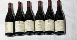 (15) Lot de 6 bouteilles Lirac, millésime 2007, à saisir!