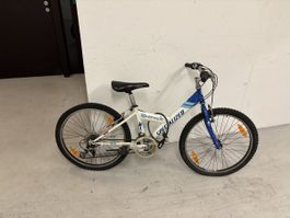 Kinder Fahrrad Specialized Hotrock Vintage Mountainbike