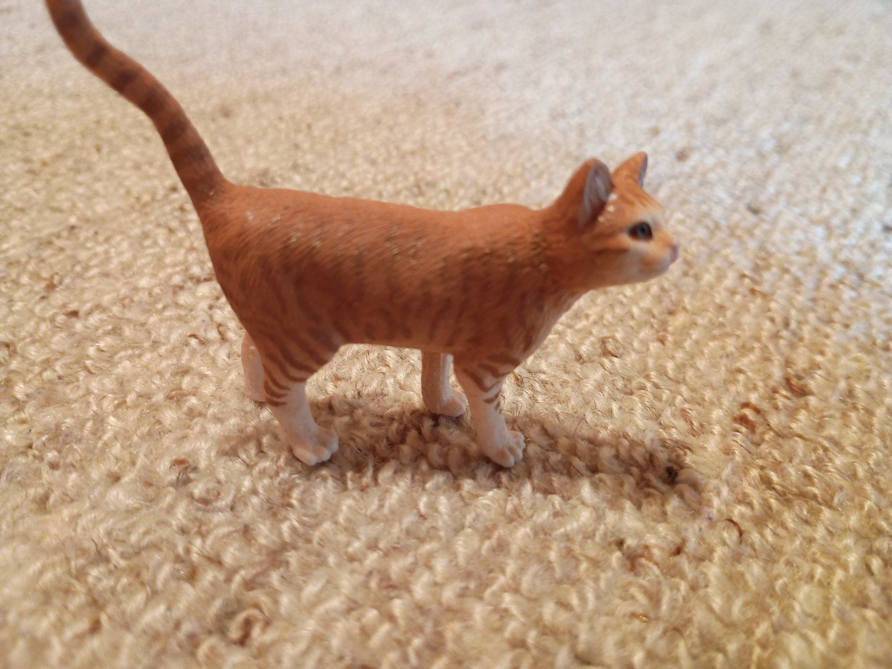 Schleich Statuette: Schleich 13836 Katze, stehend, 2016 – Nuovo (secondo la descrizione) da Buchs AG venduto da ReaNaTsch
