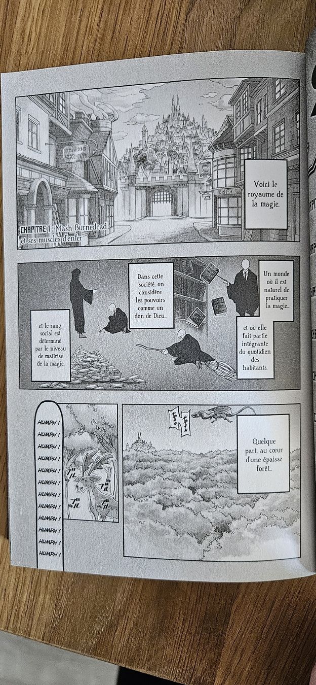 Fumetti: manga Mashle lot 1 à 10 – Nuovo (secondo la descrizione) da Carouge GE venduto da Lea000 4
