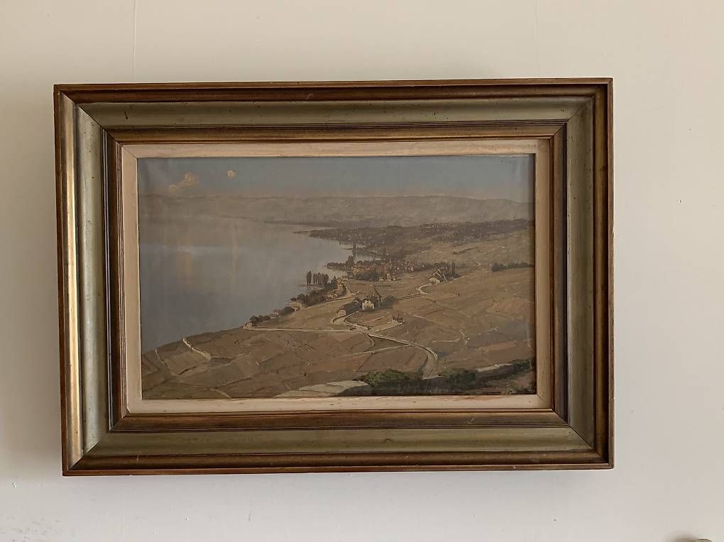 Dipinti: Tableau le Lavaux  – Usato da Renens VD venduto da the_j68r