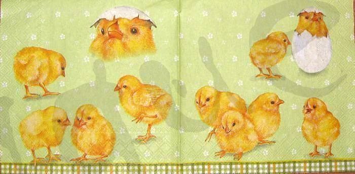 Servietten: Serviette küken (o3) 2Stk. – Neu (gemäss Beschreibung) aus Schlatt TG von kreativ-atelier