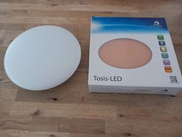 LED Wand/Deckenleuchte 12W  250mmx48mm