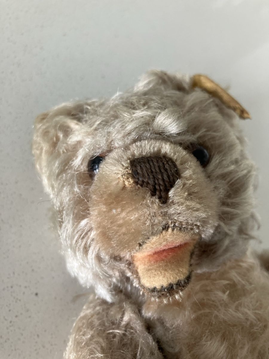 Steiff Spielzeuge: Teddybär Steiff mit offenem Mund – Gebraucht aus Zürich von Combat02 3