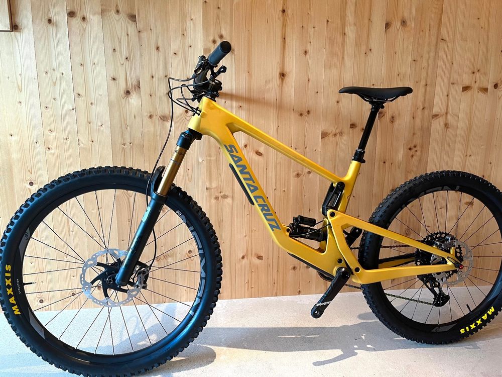 santa cruz bronson mullet