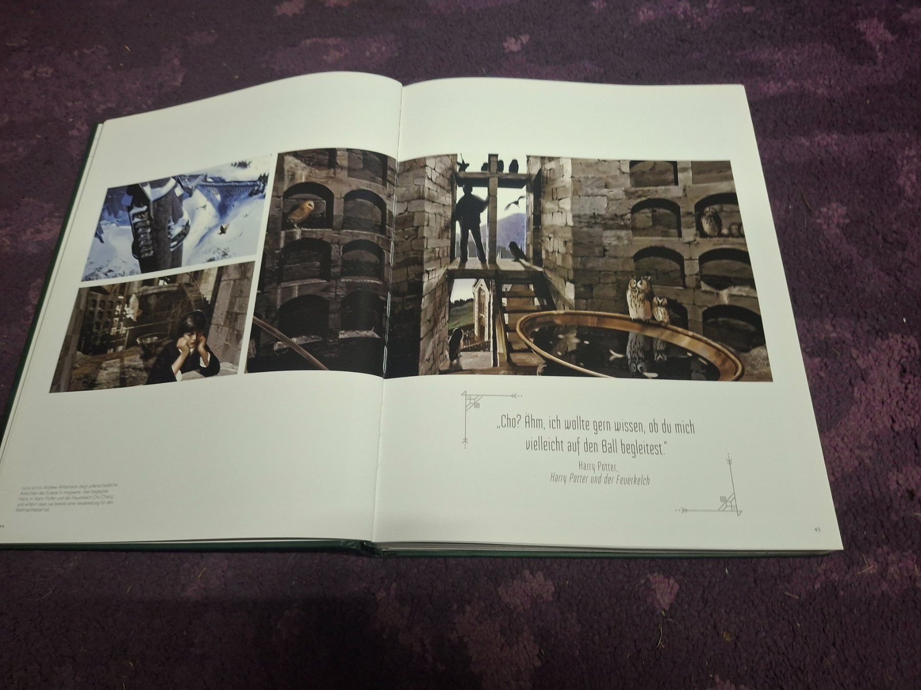 Libri: Harry Potter - Das grosse Harry-Potter-Buch – Usato da Horriwil venduto da TOKYONIGHTS 2