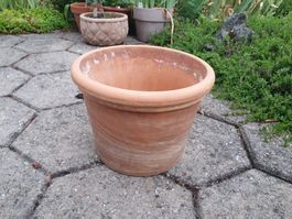 Kleiner Blumentopf