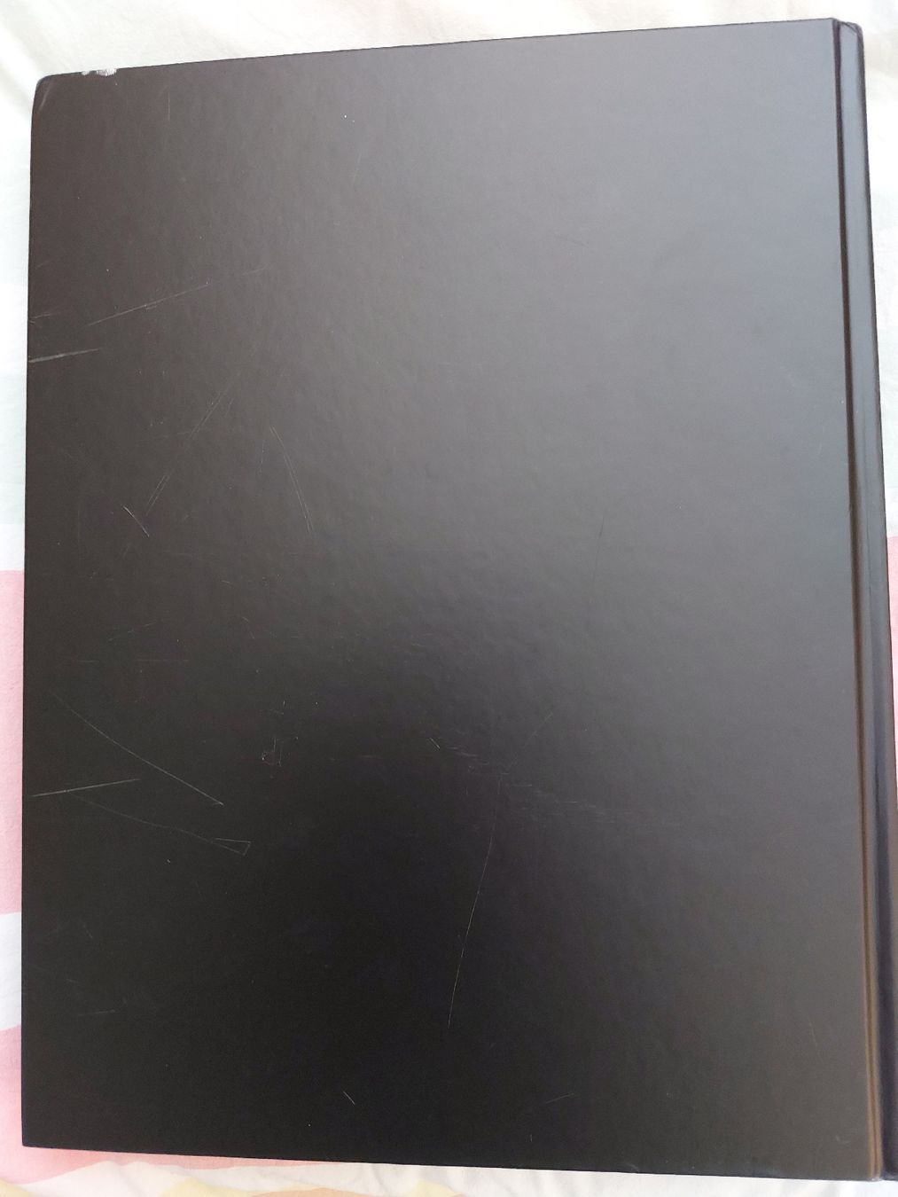 Libri: Pink Floyd - Their Mortal Remains Book – Usato da Mumpf venduto da Pat17 2