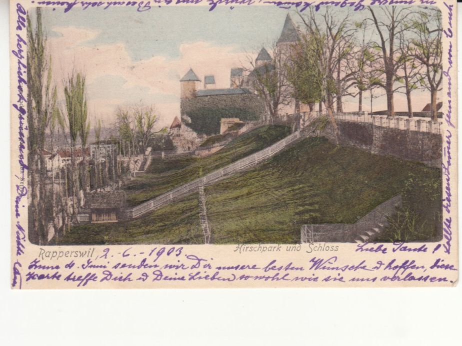 Cartoline postali: Rapperswil 1903 – Usato da Bürglen TG venduto da StampGraf