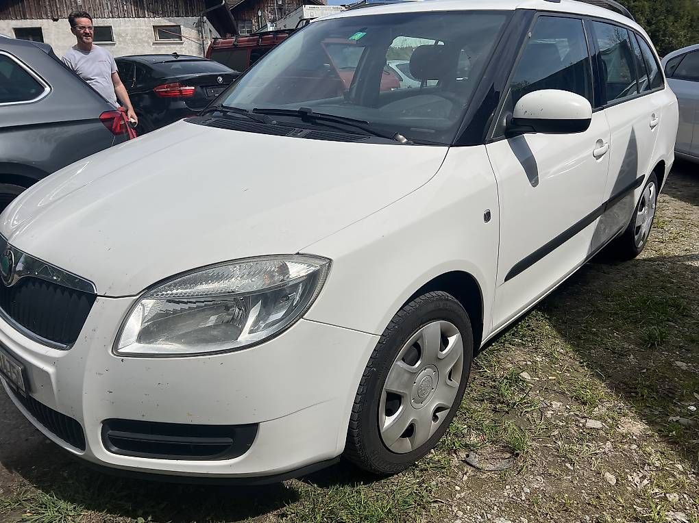 Autos: Skoda 1.4 Diesel  – D'occasion à Wetzikon ZH par swiss0030