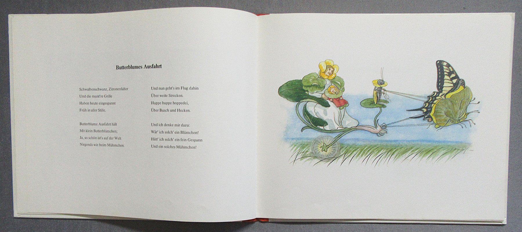 Libri: Blumen-Märchen von Ernst Kreidolf – Usato da Auenstein venduto da Padabimbim 2