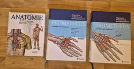 Fachbücher Anatomie Sport Training Ernährung