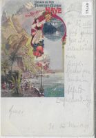 Chemin de fer Territet-Glyon aux Rochers de Naye 1901