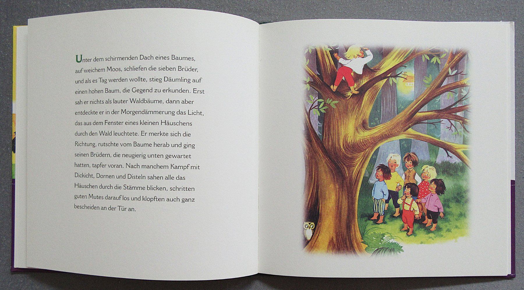 Bücher: Der kleine Däumling - Nostalgischer Märchenschatz – Gebraucht aus Auenstein von Padabimbim 4