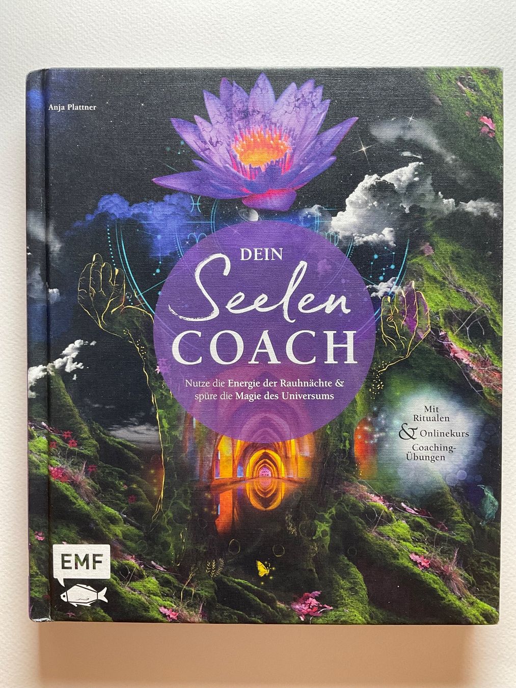 Libri: Dein Seelen Coach - Anja Plattner – Nuovo (secondo la descrizione) da Meggen venduto da BookRevivals