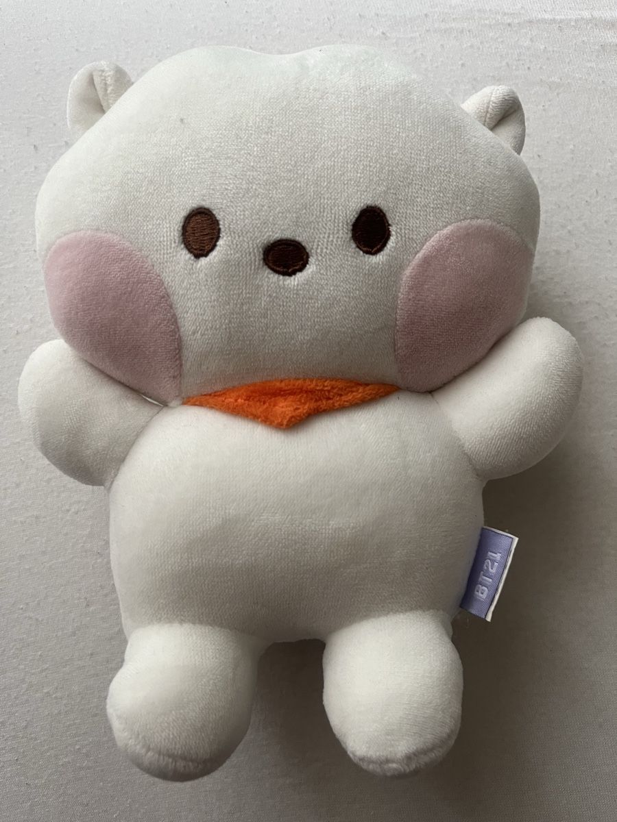 Spielzeuge: BT21 Plüschtier – Neu (gemäss Beschreibung) aus Zürich von sej_wgb2