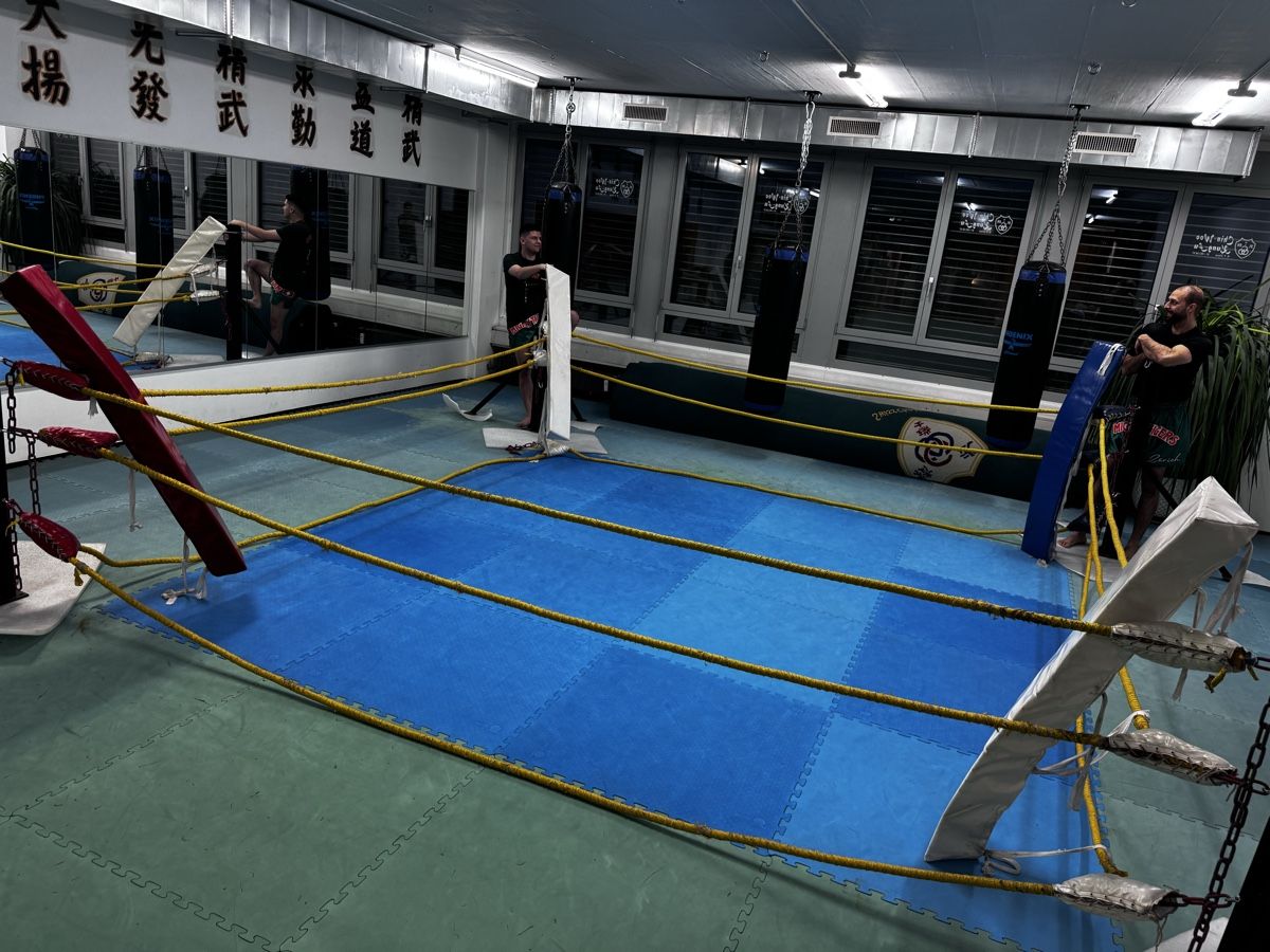 Hometrainer: Professioneller Boxring – Usato da Zürich venduto da sold5 1