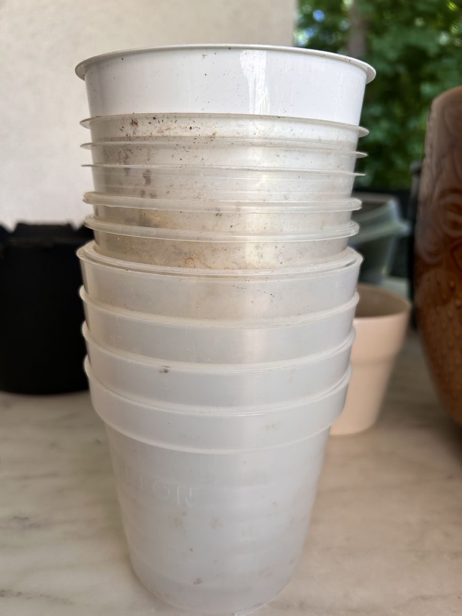 Vasi per fiori: Plastiktöpfe – Usato da Effretikon venduto da Peggysue01
