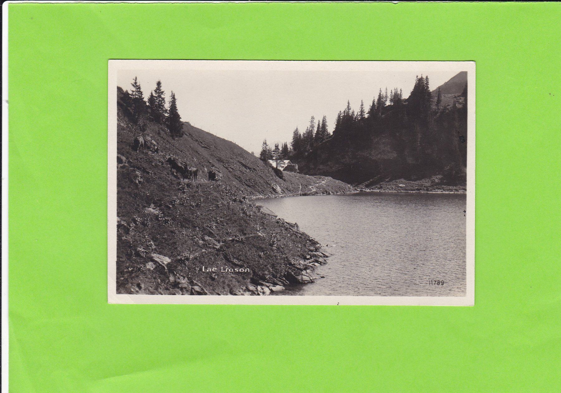 Cartes postales: Lac Lioson – D'occasion à St. Peterzell par neckertal
