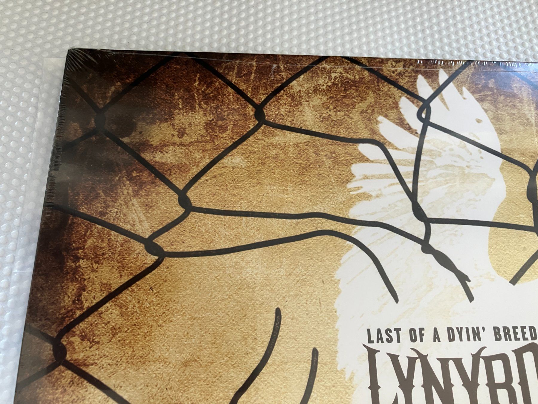 Dischi in vinile: Lynyrd Skynyrd – Nuovo e nell'imballaggio originale da Aarwangen venduto da Jukebox3 2