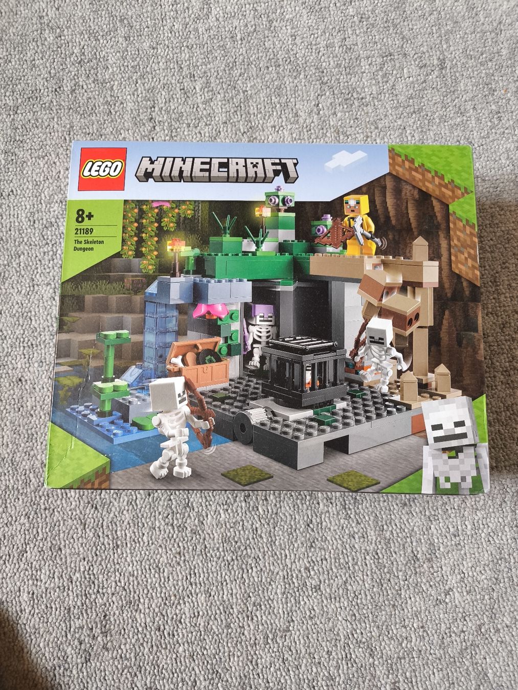 Lego Kit di costruzioni: LEGO Minecraft 21189 The Skeleton Dungeon neu – Nuovo e nell'imballaggio originale da schaffhausen venduto da veidas
