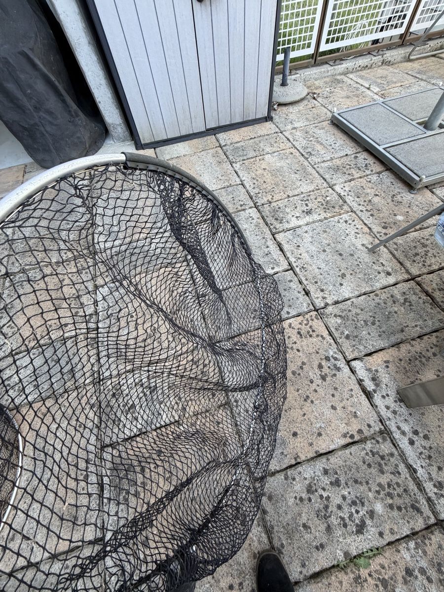 Supporti a parete: Teich Teleskop-Kescher 60cm – Usato da Altstätten SG venduto da Rschneider7 3
