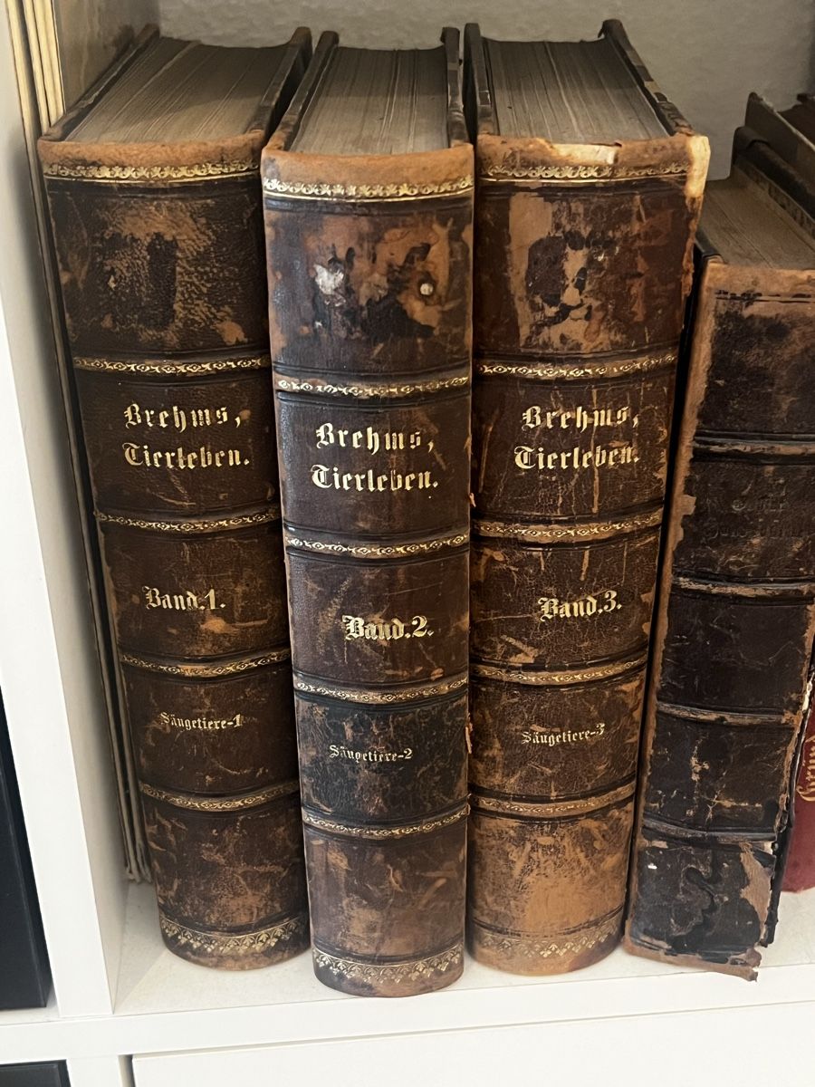 Libri: Brehms Tierleben 1.-3. Band – Usato da Ipsach venduto da Be44