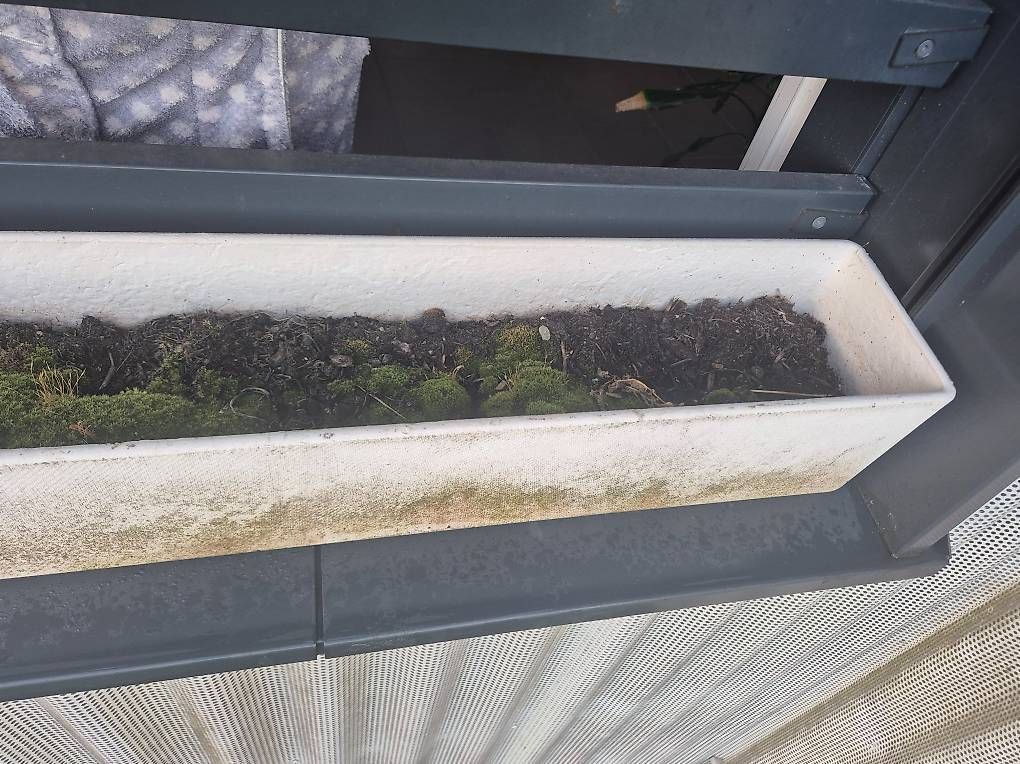 Migros Vasi per fiori: Gratis Pflanzentöpfe lang, Balkon – Usato da Zürich venduto da ale_9bqs