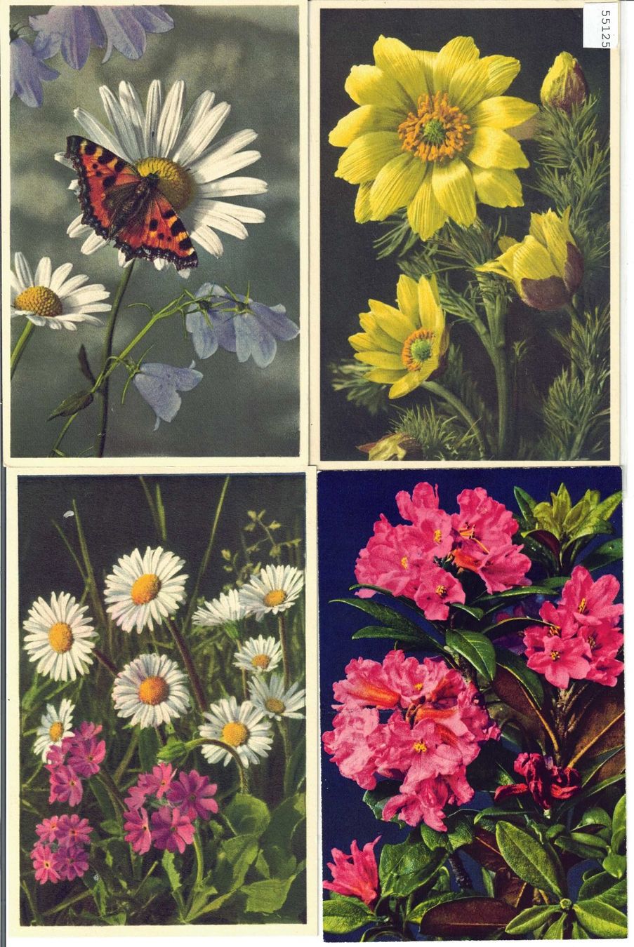 Cartoline postali: 4 AK - Blumen - Photo: E. Gyger – Usato da Ettingen venduto da Kartenplanet
