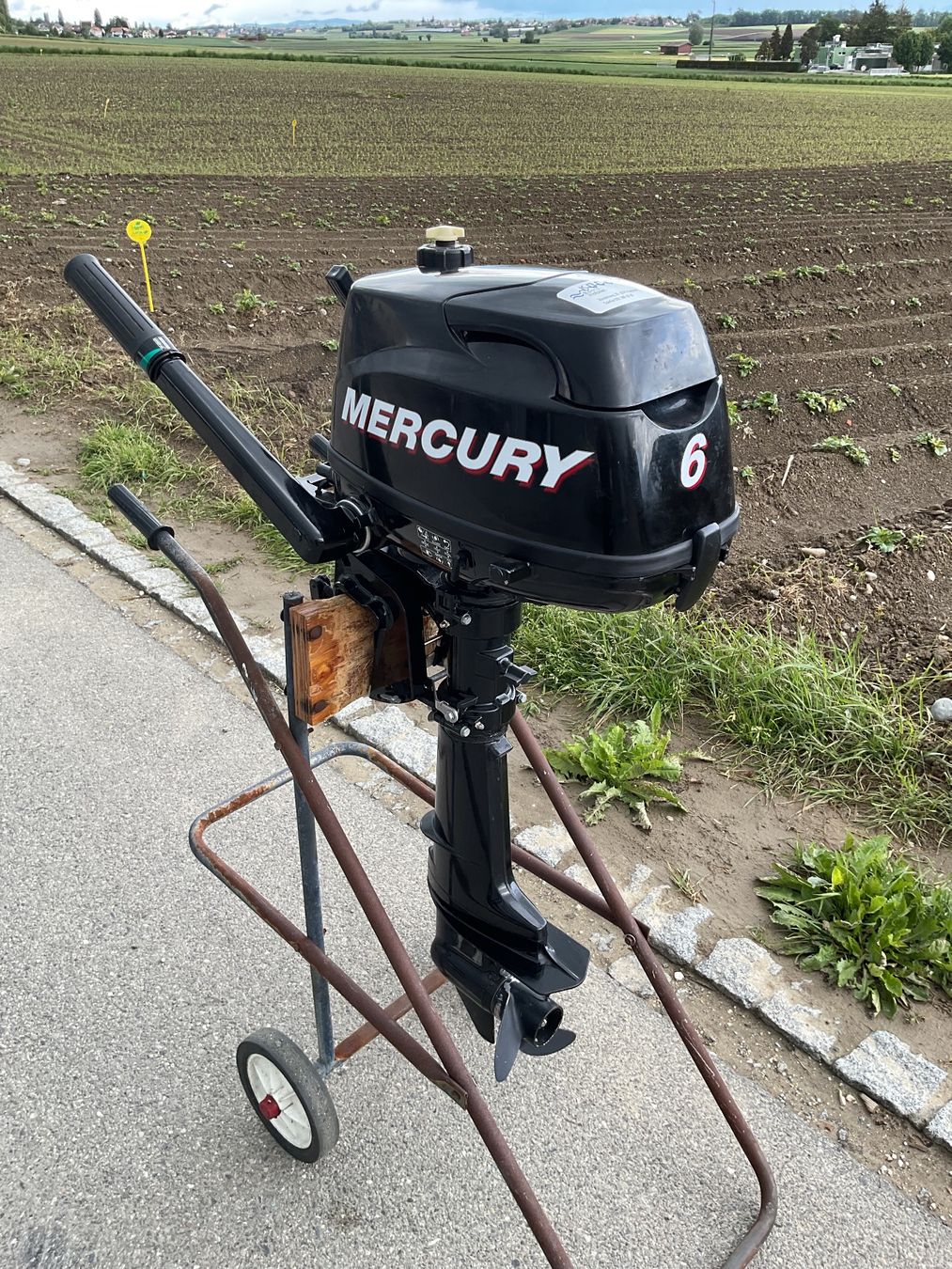 Mercury Motori: Aussenbordmotor Mercury F6M – Usato da Hagneck venduto da Kobogero 3