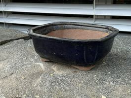 Bonsai Schale ab Fr. 1.—