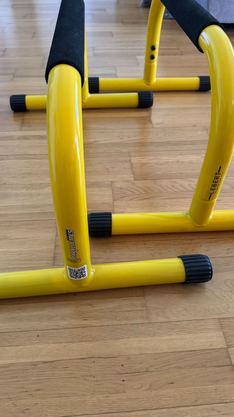 Hometrainer: Lebert Fitness Parallettes – Usato da Bonaduz venduto da laryxfary 1