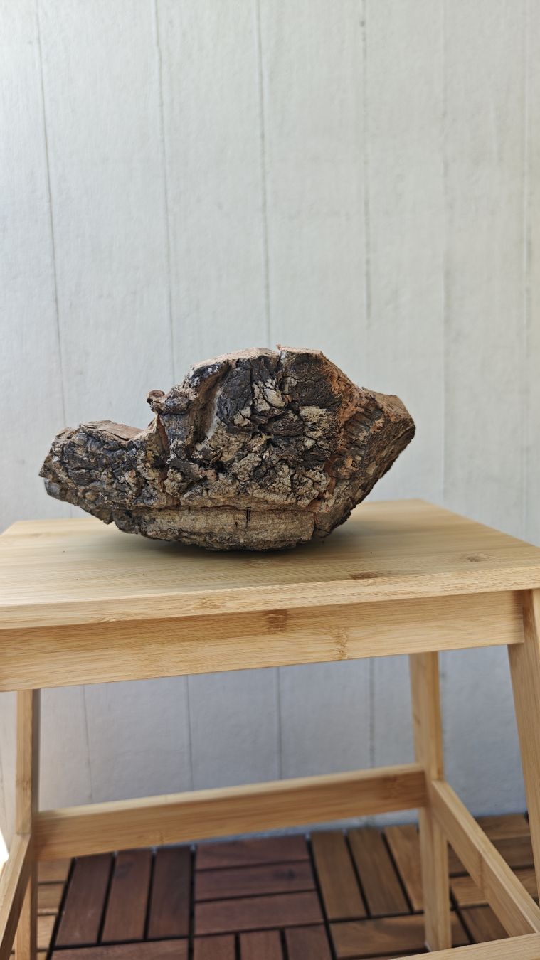 Toutes les décorations: Natural Cork Bark Bowl Decorative Object Handmade Unique – Neuf avec emballage d'origine à Zürich par Mgaiovitoria 6